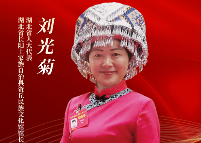 代表委员履职记 | 刘光菊：抢抓文旅新机遇 打造世界知名旅游之都