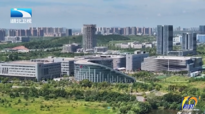 解读政府工作报告 | 统筹推进重点领域和关键环节改革