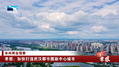 市州两会观察 | 孝感：加快打造武汉都市圈副中心城市