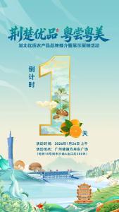 广州，烟火气拉满的Mini版“湖北农博会”等你一起扫货狂欢！