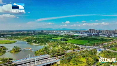 2026年1月14日长江新闻