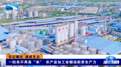 牢记嘱托 建成支点 | 一粒米不再是“米” 农产品加工业锻造新质生产力