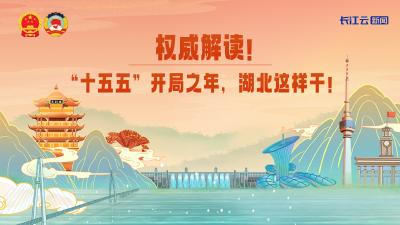 起草组专家权威解读：“十五五”开局之年，湖北这样干！