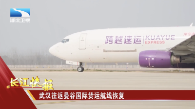 武汉往返曼谷国际货运航线恢复