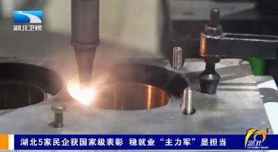 湖北5家民企获国家级表彰 稳就业“主力军”显担当