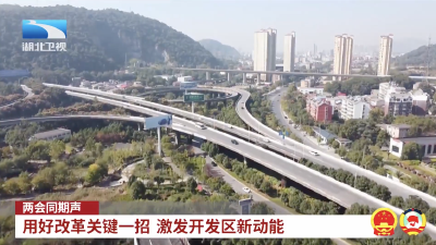 两会同期声｜用好改革关键一招 激发开发区新动能