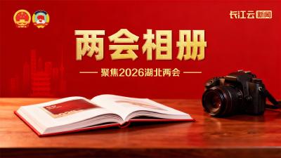 深化科技保险创新、助力中小企业……省政协委员建言献策共谋发展