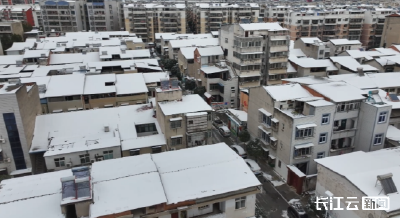 随州：上门扫雪集中照料 让高龄独居老人冬不寒