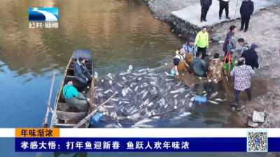 孝感大悟：打年鱼迎新春 鱼跃人欢年味浓