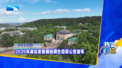 2026年湖北省普通选调生招录公告发布