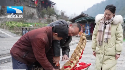 小杨看两会丨青春履职路