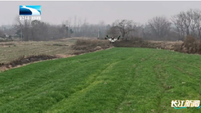迎战雨雪冰冻丨荆门：加强田间管护 应对雨雪冰冻天气