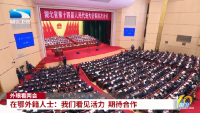 外眼看两会 | 在鄂外籍人士：我们看见活力 期待合作