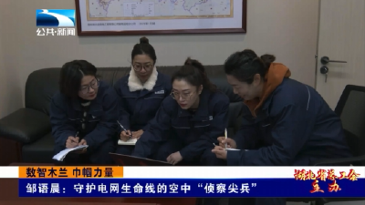 数智木兰 巾帼力量 | 邹语晨：守护电网生命线的空中“侦察尖兵”