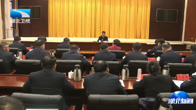 何良军强调择高而立锐意进取 为确保支点建设取得决定性进展作出新贡献