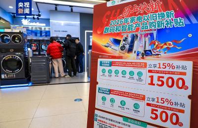 事关扩大内需、优化“两新”政策 这场发布会都谈到了