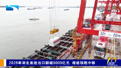2025年湖北省进出口额破8000亿元 增速领跑中部
