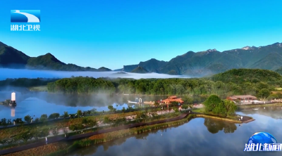 2026年1月17日湖北新闻