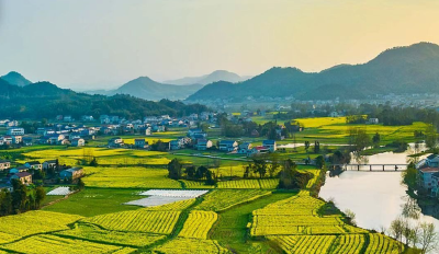 粮食产量再上新台阶！大国粮仓支撑更有力、动能更强