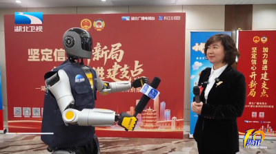 2026年1月28日湖北十分