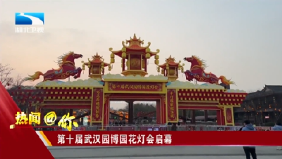 第十届武汉园博园花灯会启幕