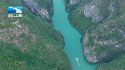 2026年1月5日湖北新闻