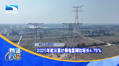 2025年武汉累计用电量同比增长4.76%