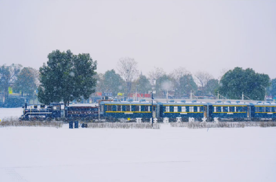 雪中武汉，太美了！