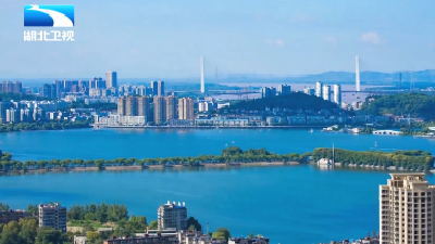 2026年1月5日湖北十分