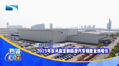 2025年东风自主新能源汽车销量全线增长