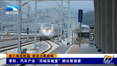 金三角高铁圈 新活力看县域 | 枣阳：汽车产业“同城实验室”跑出新速度