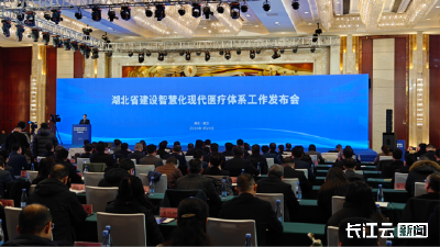 湖北启动实施智慧化现代医疗体系建设