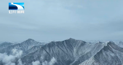 人与自然｜雪中“精灵”纷纷亮相 红外相机捕捉珍稀动物“冬日派对”