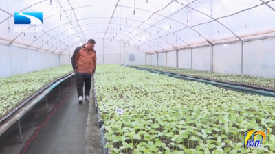 ​迎战低温冰雪灾害 | 精准施策保丰收