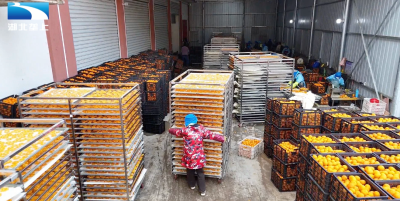 襄阳南漳：鲜果到橘片 身价倍增