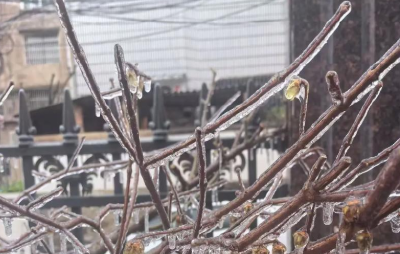 湖北发布低温雨雪冰冻橙色省级预警