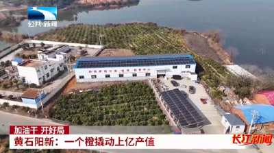 加油干 开好局 | 黄石阳新：一个橙撬动上亿产值
