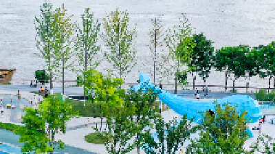 十年，宜昌答卷！