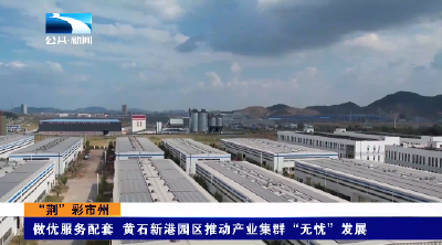 “荆”彩市州丨做优服务配套 黄石新港园区推动产业集群“无忧”发展