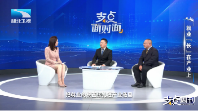 重新定义“找工作”？看湖北如何让就业“长”在产业上