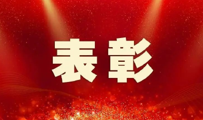 湖北5家民企2名个人获国家部委表彰