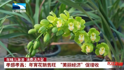 孝感孝昌：年宵花销售旺 “美丽经济”促增收