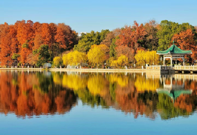 气温重返10℃+ 湖北双休天气有反转？快戳→