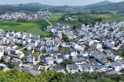 推进乡村全面振兴 今年我国将部署这些工作