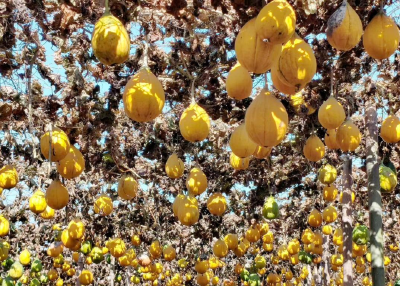 爱你老己，田里见！