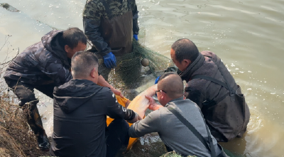 随州曾都：监督合力惠民生 共享鱼塘兜起幸福年