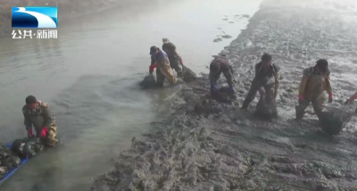 孝感应城：冬捕丰收季 生态甲鱼产销旺