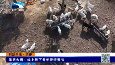 孝感大悟：线上线下备年货迎春节