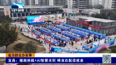 我为群众办实事 | 宜昌：援助热线+AI智慧求职 精准匹配促就业  