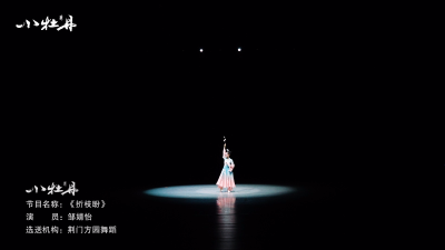 小牡丹—《折枝盼》